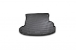 CARNIS00032