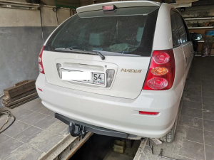 Toyota Nadia (11)