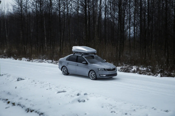 2020-2-5-Skoda rapid-irbis175 1