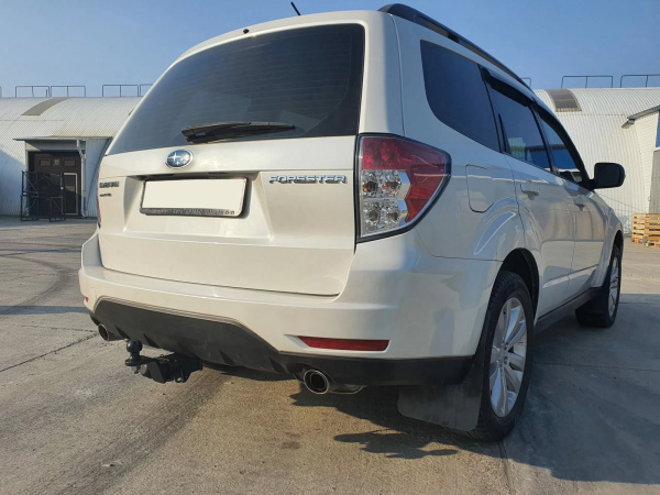 forester (2)