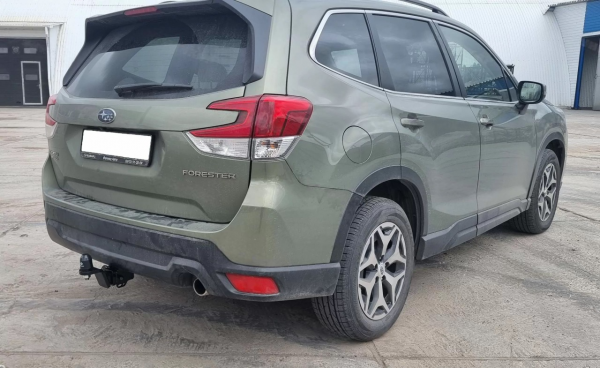 FORESTER (3)