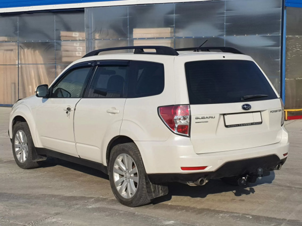 forester (3)