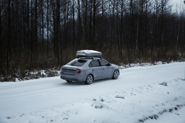 2020-2-5-Skoda rapid-irbis175 2
